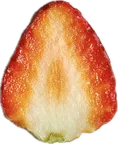 パーツ SAHcDrKJzGkWF7Bklikoz