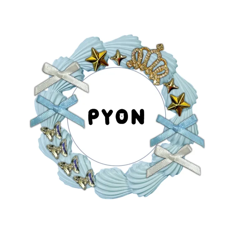 カスタムPYON✨